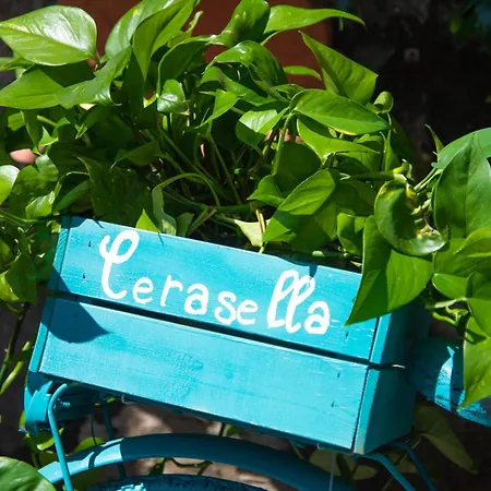 Cerasella Ischia